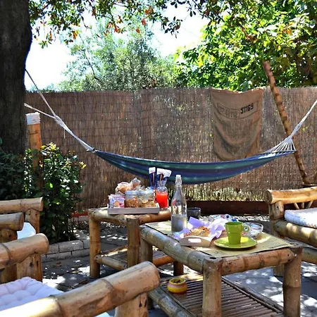 Paladar Bed & Breakfast 5*